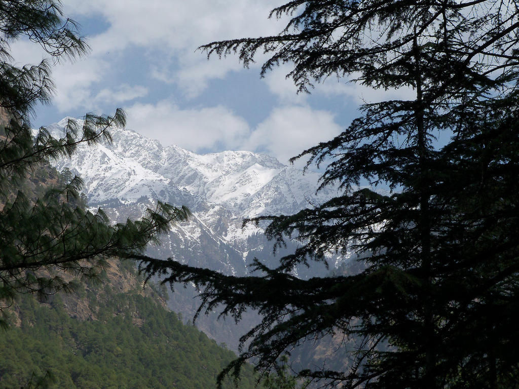 Parvati Kuteer Riverside Resort Kasol Exterior photo