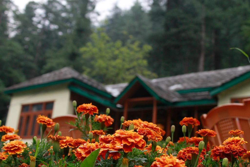 Parvati Kuteer Riverside Resort Kasol Exterior photo