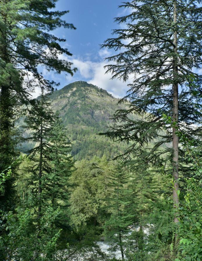 Parvati Kuteer Riverside Resort Kasol Exterior photo